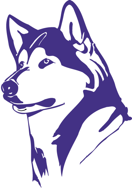 Washington Huskies 1995-2000 Partial Logo v2 iron on transfers for clothing